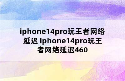 iphone14pro玩王者网络延迟 iphone14pro玩王者网络延迟460